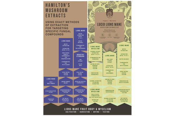 extraction chart showing extraction procedures for mushrooms extracts by Hamilton's.