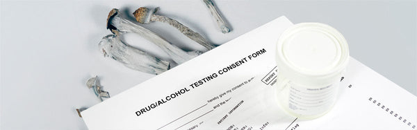 mushrooms and a drug test form