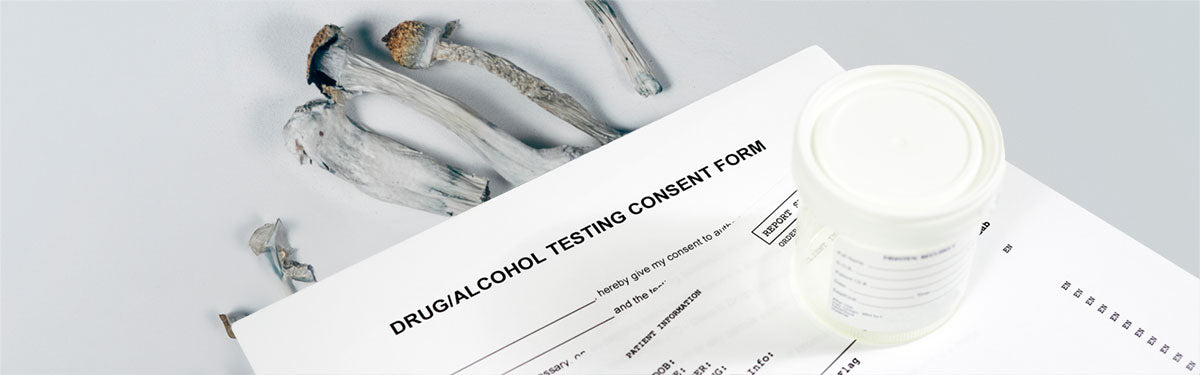 mushrooms and a drug test form