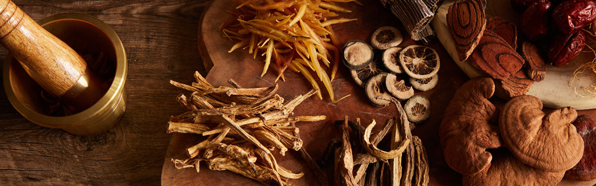 Table with various herbs and types of mushrooms including: functional mushrooms and adaptogenic mushrooms