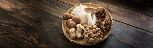 Various mushroom types in a basket
