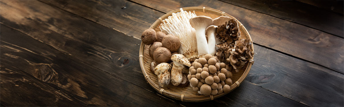 Various mushroom types in a basket