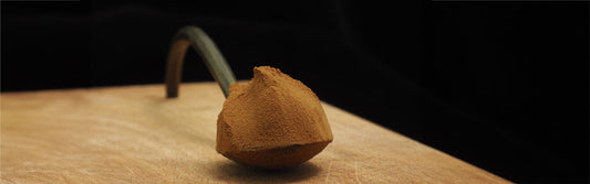 Hamilton's Reishi extract mushroom powder