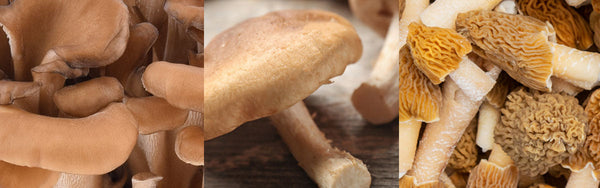 Side by side of Maitake mushrooms, Shittake mushroom, and Morel Mushrooms
