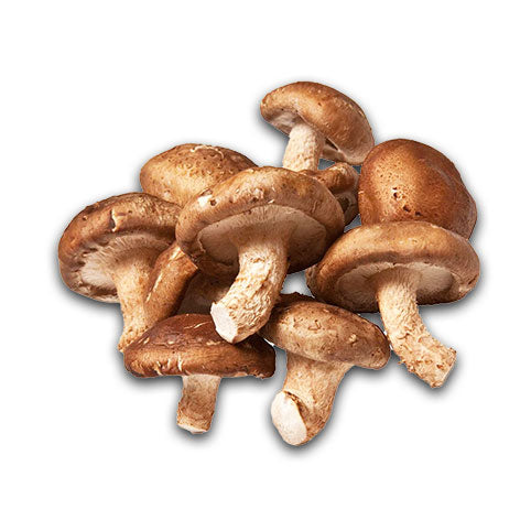 Hamilton's Mushrooms Organic Shiitake (25kg MOQ) (Bulk)