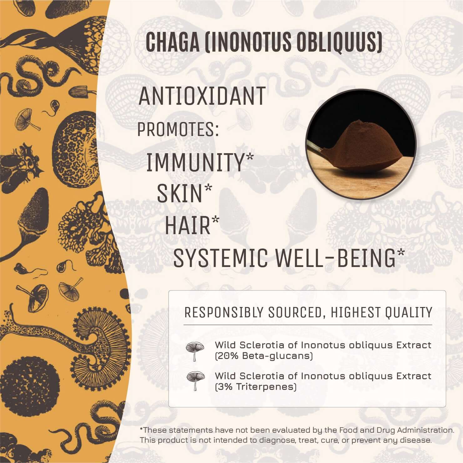 Promotes: Immunity, Skin, Hair, Systemic Well-being.