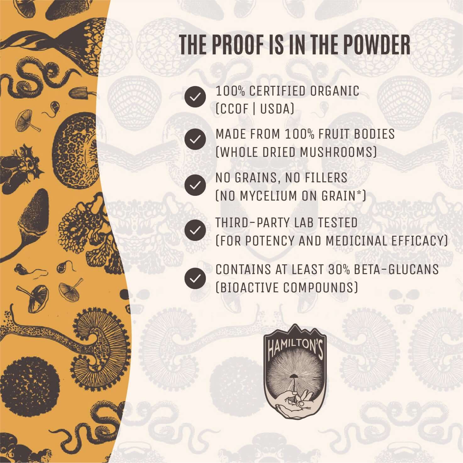 Organic, Whole Fruit Bodies, No Grains, Third-Party Tested, At Least 30% Beta-Glucans