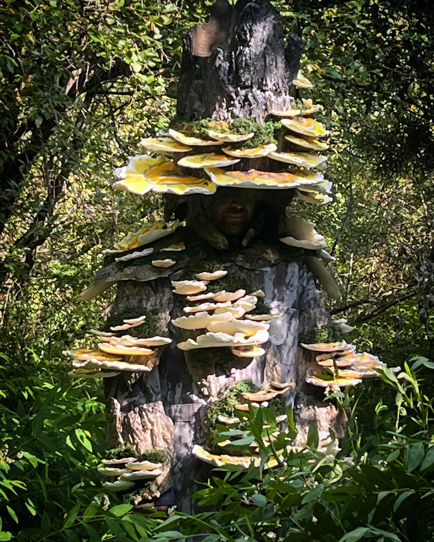 Ground View - The Telluride Mushroom Festival 2023
