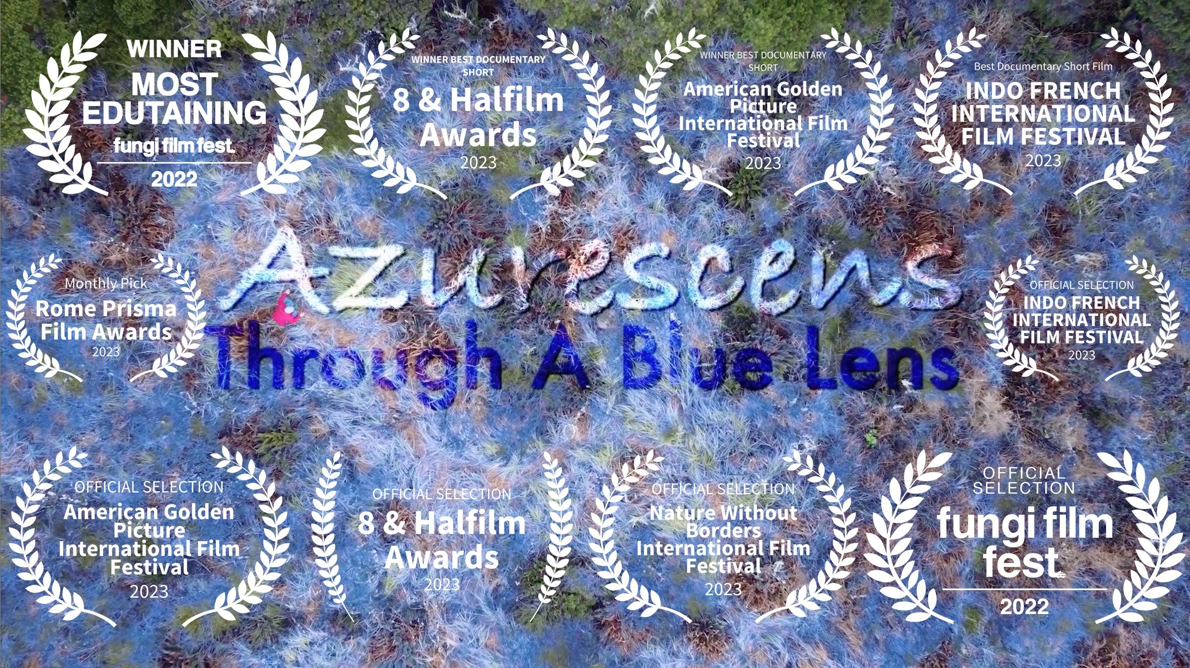 Mycopreneur Podcast Interview: Azurescens Through A Blue Lens