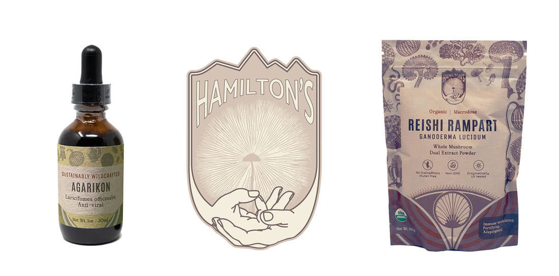 Hamiltons tincture next to Hamilton's extract