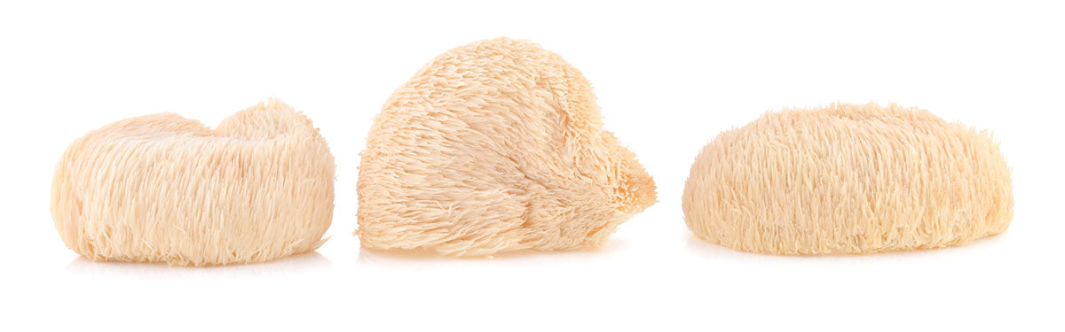 three lion's mane mushroom in a row