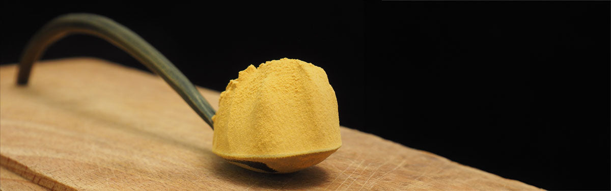 Hamilton's lion's mane powder on a spoon