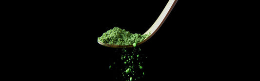 Mushroom matcha on a wooden utensil