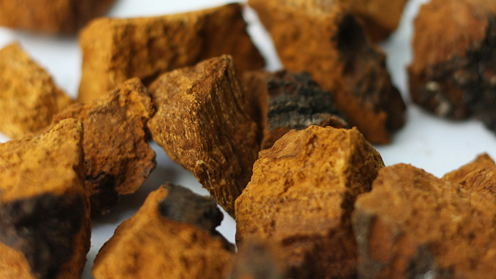 CHAGA
