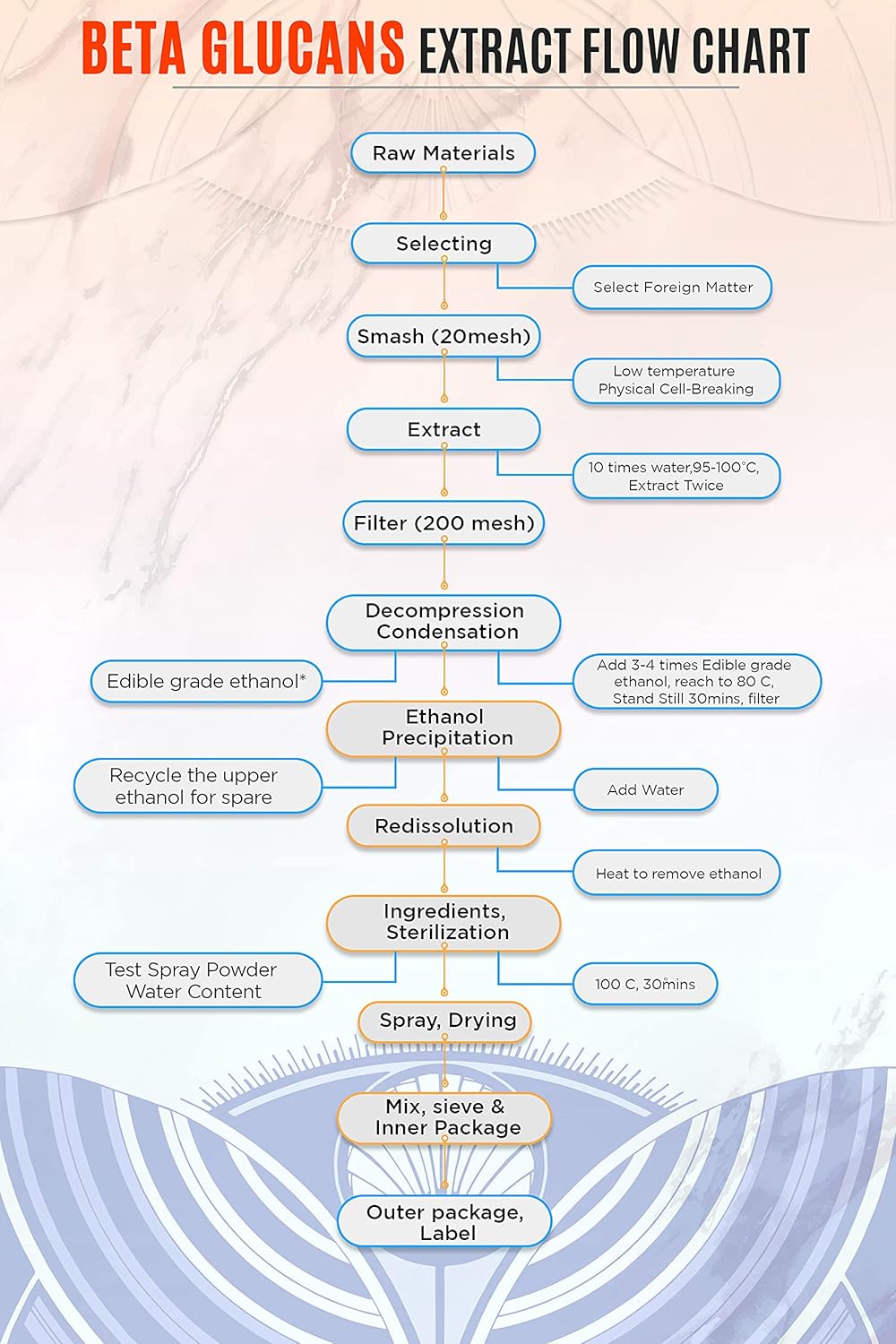 Beta glucans extraction flow chart for Hamilton's Mushrooms body blend