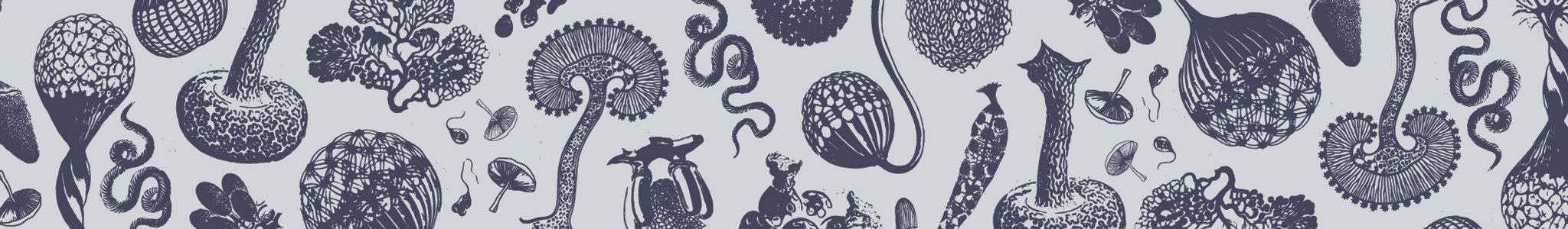 Pattern from the Hamilton's mushroom packaging showing abstract mushroom and plant shapes.