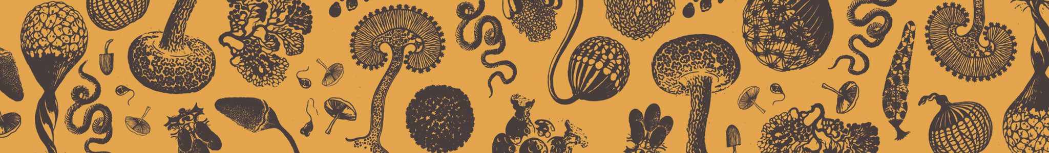 Pattern from the Hamilton's mushroom packaging showing abstract mushroom and plant shapes.