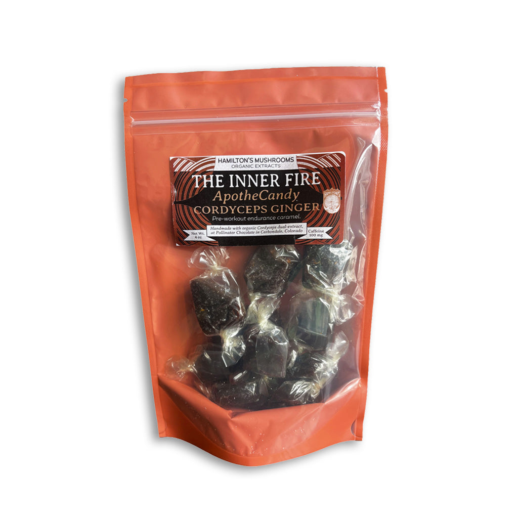 Hamilton's Mushrooms ApotheCandy - Functional Mushroom Caramels