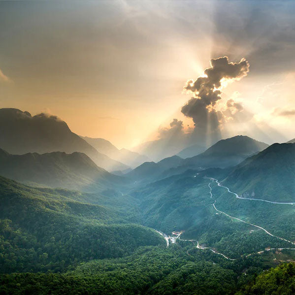 Lush mountain valley with a sunburst behind a cloud.