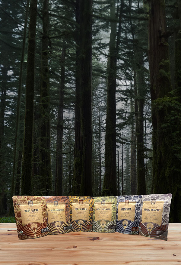 All six of the Hamilton powdered extract bags lined up on a table with a dark forest in the background.