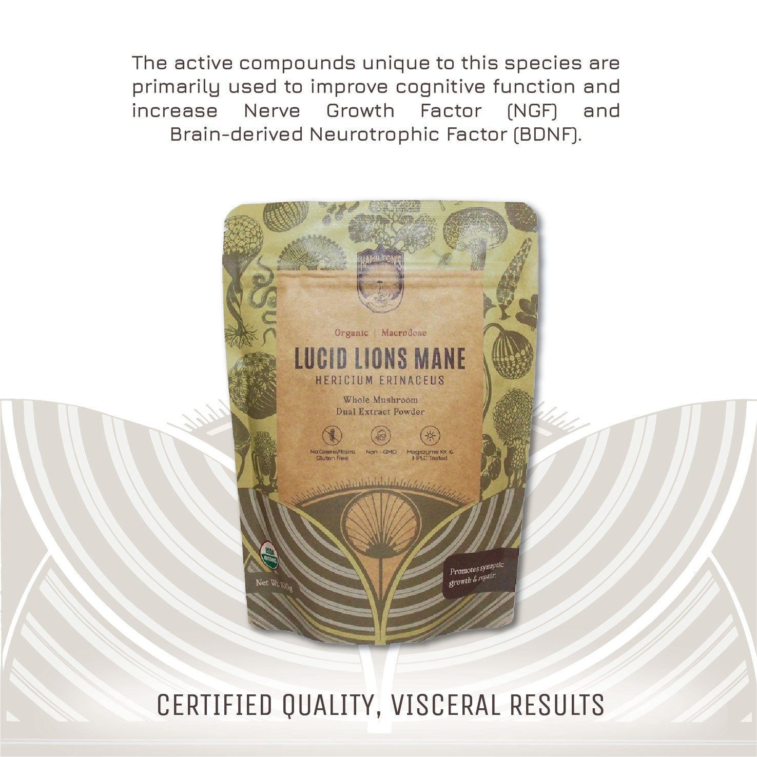 Lucid Lion's Mane Packaging. Certified Quality, Visceral Results.