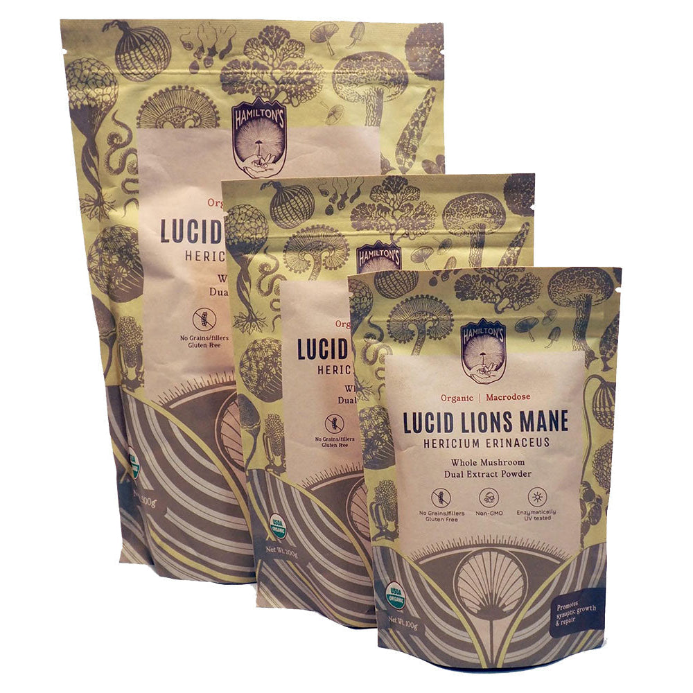 Hamilton's Mushrooms Lucid Lion's Mane (Wholesale) This mushroom extract powder contains 3 different extract specifications to make the most potent lion's mane product on the market. Lucid Lions Mane promotes cognition, focus, memory and digestion.