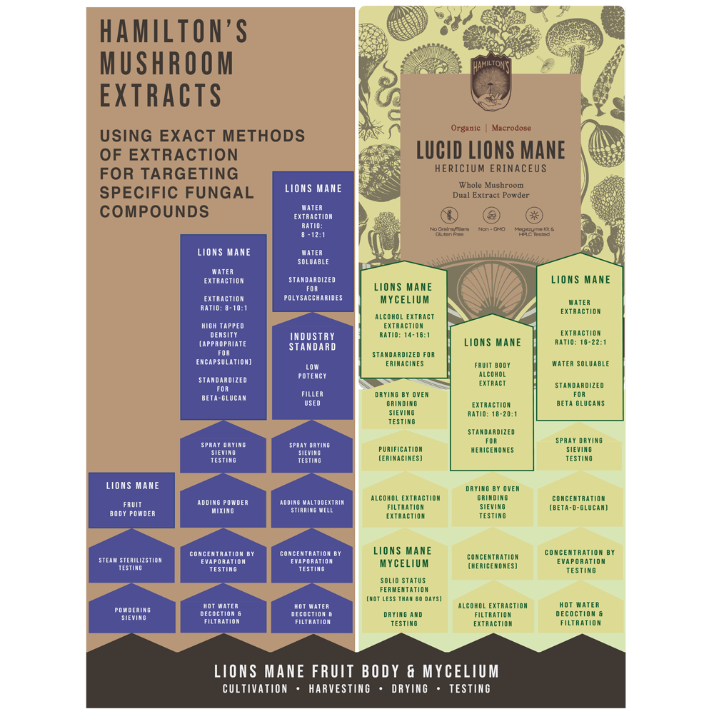 Hamilton's Mushrooms Lucid Lion's Mane (Wholesale) This mushroom extract powder contains 3 different extract specifications to make the most potent lion's mane product on the market. Lucid Lions Mane promotes cognition, focus, memory and digestion.