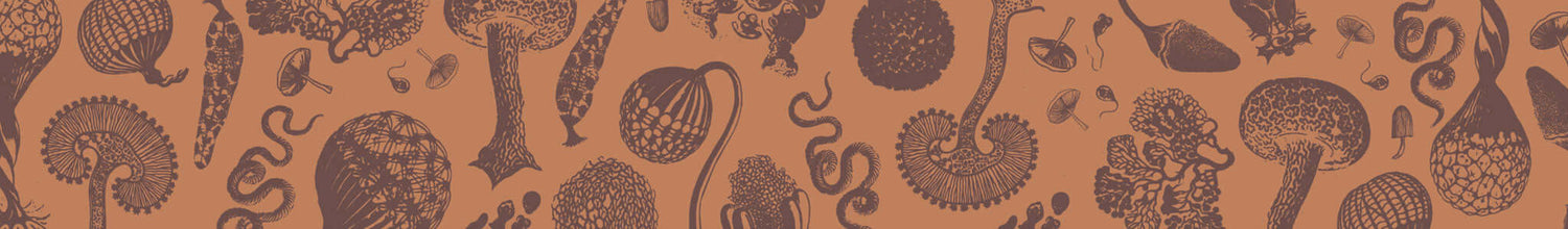 Pattern from Hamilton's Mushrooms packaging