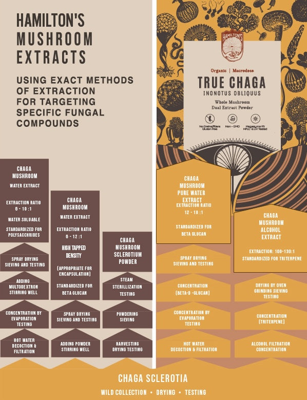 Hamilton's Mushrooms Beta-Glucas Extraction Flowchart