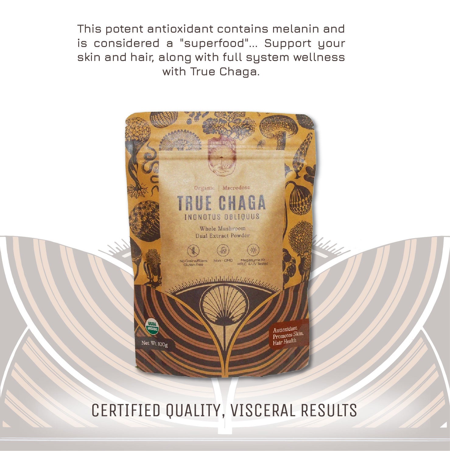 Image of True Chaga packaging.