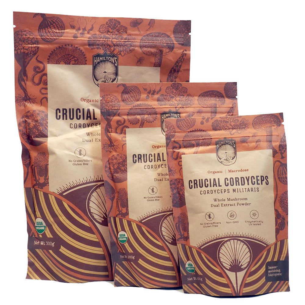 Hamilton's Mushrooms Crucial Cordyceps (Wholesale) Popular among athletes, endurance junkies, and outdoor enthusiasts; it stacks great with caffeine. Cordyceps militaris is crucial for the daily supplement user.