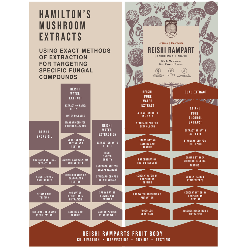 Hamilton's Reishi Rampart | Immune Support | Inflammation Support | Heart Health | Wellbeing | Extraction Chart